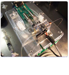 Ion Channel Characterization